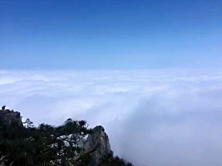 《黄山之旅》这真的只是抛砖引玉,更美的在后面